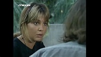 I agapi tis gatas (1991)