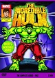 The Incredible Hulk (1982) - Serie Animada Latino Descargar MEGA