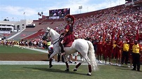 trojancandy.com: USC's Mascot Traveler Gallops out of the Coliseum ...