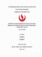 Plan de Tesis Modelo UPC | PDF | Diseño | Fundación (Ingeniería)