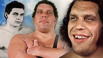 Andre the Giant - 16 Unforgettable Tales Told By His Friends