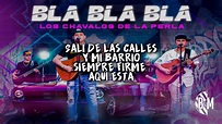 Los Chavalos De La Perla - Bla Bla Bla[Letra]2019 - YouTube