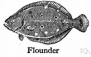 Flounder - definition of flounder by The Free Dictionary