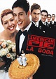 American Pie ¡Menuda boda! - película: Ver online