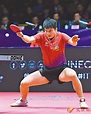 國乒候選七項ITTF年度大獎 - 香港文匯報