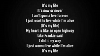 Bon Jovi - It's my life lyrics [HD] - YouTube
