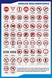 Seguridad Vial para todos: Las normas y señales de tránsito
