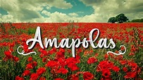 Leo Rizzi - Amapolas (Letra//Lyrics) {Acústico} - YouTube