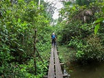 Experiencia completa por la selva cuatro dias - Amazon Experience - Jungle Tours in Leticia Amazon