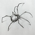 Realistic Spider Drawing Easy