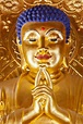 Golden Buddha Pictures | Download Free Images on Unsplash