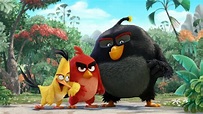 Ver Angry Birds: La película Online - CUEVANA 3