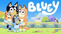 Watch 'Bluey' Online Streaming (All Episodes) | PlayPilot