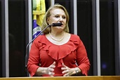 Elcione Barbalho presidirá Comissão de Defesa dos Direitos da Mulher ...