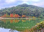 粉嶺流水響水塘行山路線！附影相熱點/交通攻略 賞落羽松紅葉/天空之鏡水塘/4公里郊遊徑 | U Travel 旅遊資訊網站