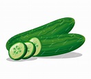 Premium Vector | Cucumber drawing isolated over white background ...