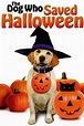 The Dog Who Saved Halloween (2011) — The Movie Database (TMDB)