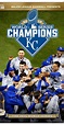 The Official 2015 World Series Film (2015) - DVD PLANET STORE