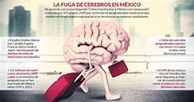 FUGA DE CEREBROS | Mind Map