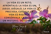 +50 POEMAS cortos de la VIDA - ¡Para reflexionar!