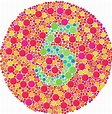 10 Images To Test The Color Blind - Facts Verse