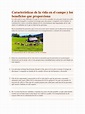 Características de La Vida en El Campo y Los Beneficios Que Proporciona ...