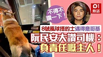 Tommy阮民安打風搭的士見得意毛孩跟車 司機1句解釋超有愛