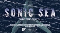Sonic Sea Trailer - YouTube