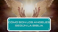 ¿Cómo son los Ángeles según la Biblia? ¡Explicado! ️