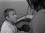 Roman Polanski - Nóz w wodzie AKA Knife in the Water (1962) | Cinema of ...