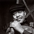 James Cotton - Deep In The Blues (1996) with Joe Louis Walker and ...