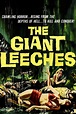 Attack of the Giant Leeches | Rotten Tomatoes