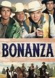 Bonanza Season 14 - watch full episodes streaming online