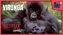 TIENES QUE VERLA: Virunga (2014) - Documental Épico sobre la Lucha por ...