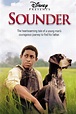Ver Sounder (2003) Películas Online en Español y Latino - Cuevana 3