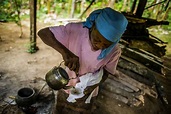 São Tomé: os curandeiros e as plantas que curam - PÚBLICO