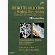 Netter Collection of Medical Illustrations: The Netter Collection of ...