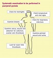 Postpartum pyrexia - Obstetrics, Gynaecology and Reproductive Medicine