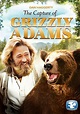 The Capture of Grizzly Adams (1982) - Posters — The Movie Database (TMDB)
