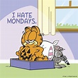 50+ Garfield I Hate Mondays | Quotes, Images, Pics