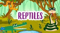 Educational Video: The Reptiles for Kids | Happy Learning