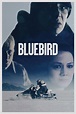 Reparto de Bluebird (película 2014). Dirigida por Lance Edmands | La ...