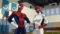 White Tiger Spider-Man Wallpapers - Wallpaper Cave
