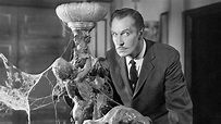 The Ten Best Vincent Price Movies of All Time: A Tribute to the Master ...