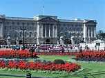 Cómo visitar el Palacio Buckingham (Londres): horarios, precios