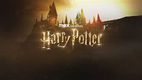 Harry Potter, la serie: el productor confirmó que el remake “explorará ...