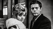 Trauen Sie Alfredo einen Mord zu? - Kritik | Film 1961 | Moviebreak.de