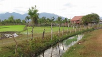 Laos Reise Doku: Reisfelder am Mekong - YouTube