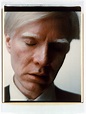 Self-Portrait | Andy Warhol | 1995.251 | Work of Art | Heilbrunn ...