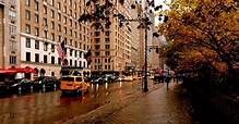 17 planes para divertirse en un día lluvioso en Nueva York